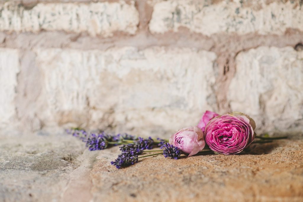 lavender_rose_wall